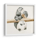 Bebé Panda Ii - Melissa Wang | Cuadro decorativo de Canvas Lab