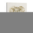 Bebé Elefante I - Melissa Wang | Cuadro decorativo de Canvas Lab