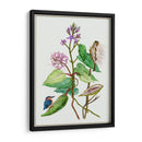 Metaplexis Japonica Ii - Melissa Wang | Cuadro decorativo de Canvas Lab