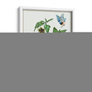 Cape Groseleberry I - Melissa Wang | Cuadro decorativo de Canvas Lab