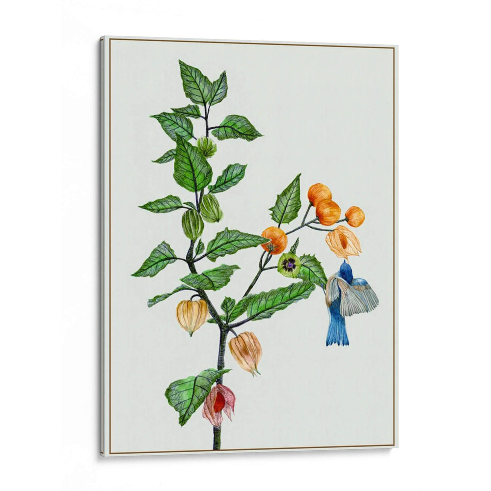 Cape Grososeberry Ii - Melissa Wang | Cuadro decorativo de Canvas Lab