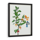 Cape Grososeberry Ii - Melissa Wang | Cuadro decorativo de Canvas Lab