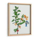 Cape Grososeberry Ii - Melissa Wang | Cuadro decorativo de Canvas Lab