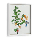 Cape Grososeberry Ii - Melissa Wang | Cuadro decorativo de Canvas Lab
