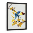 Chimonanthus Praecox I - Melissa Wang | Cuadro decorativo de Canvas Lab