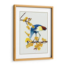 Chimonanthus Praecox I - Melissa Wang | Cuadro decorativo de Canvas Lab