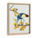 Chimonanthus Praecox I - Melissa Wang | Cuadro decorativo de Canvas Lab