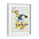 Chimonanthus Praecox I - Melissa Wang | Cuadro decorativo de Canvas Lab