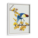Chimonanthus Praecox I - Melissa Wang | Cuadro decorativo de Canvas Lab