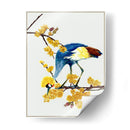 Chimonanthus Praecox I - Melissa Wang | Cuadro decorativo de Canvas Lab