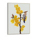 Chimonanthus Praecox Ii - Melissa Wang | Cuadro decorativo de Canvas Lab