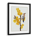 Chimonanthus Praecox Ii - Melissa Wang | Cuadro decorativo de Canvas Lab