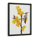 Chimonanthus Praecox Ii - Melissa Wang | Cuadro decorativo de Canvas Lab