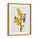 Chimonanthus Praecox Ii - Melissa Wang | Cuadro decorativo de Canvas Lab