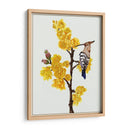 Chimonanthus Praecox Ii - Melissa Wang | Cuadro decorativo de Canvas Lab