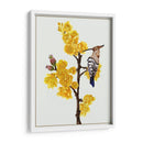 Chimonanthus Praecox Ii - Melissa Wang | Cuadro decorativo de Canvas Lab