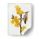 Chimonanthus Praecox Ii - Melissa Wang | Cuadro decorativo de Canvas Lab
