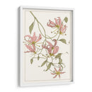 Gloriosa Botánica Lily Ii - Melissa Wang | Cuadro decorativo de Canvas Lab
