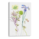 Estudio Floral De Acuarela Ii - Melissa Wang | Cuadro decorativo de Canvas Lab