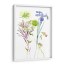 Estudio Floral De Acuarela Ii - Melissa Wang | Cuadro decorativo de Canvas Lab