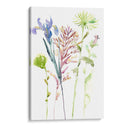 Estudio Floral De Acuarela Iii - Melissa Wang | Cuadro decorativo de Canvas Lab