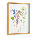 Estudio Floral De Acuarela Iii - Melissa Wang | Cuadro decorativo de Canvas Lab