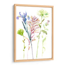 Estudio Floral De Acuarela Iii - Melissa Wang | Cuadro decorativo de Canvas Lab