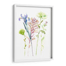 Estudio Floral De Acuarela Iii - Melissa Wang | Cuadro decorativo de Canvas Lab