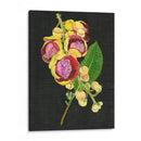 Coutaupita Guianensis I - Melissa Wang | Cuadro decorativo de Canvas Lab