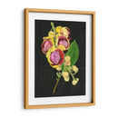 Coutaupita Guianensis I - Melissa Wang | Cuadro decorativo de Canvas Lab