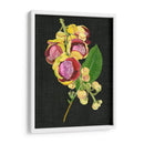 Coutaupita Guianensis I - Melissa Wang | Cuadro decorativo de Canvas Lab