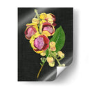 Coutaupita Guianensis I - Melissa Wang | Cuadro decorativo de Canvas Lab