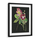 Coutaupita Guianensis Ii - Melissa Wang | Cuadro decorativo de Canvas Lab