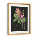 Coutaupita Guianensis Ii - Melissa Wang | Cuadro decorativo de Canvas Lab