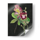 Coutaupita Guianensis Ii - Melissa Wang | Cuadro decorativo de Canvas Lab