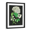 Estudio De Hydrangea Blanco Ii - Melissa Wang | Cuadro decorativo de Canvas Lab