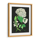 Estudio De Hydrangea Blanco Ii - Melissa Wang | Cuadro decorativo de Canvas Lab