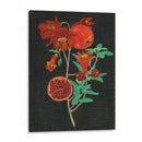 Estudio De La Granada I - Melissa Wang | Cuadro decorativo de Canvas Lab