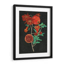 Estudio De La Granada I - Melissa Wang | Cuadro decorativo de Canvas Lab