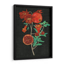 Estudio De La Granada I - Melissa Wang | Cuadro decorativo de Canvas Lab