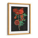 Estudio De La Granada I - Melissa Wang | Cuadro decorativo de Canvas Lab