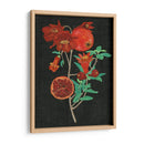 Estudio De La Granada I - Melissa Wang | Cuadro decorativo de Canvas Lab