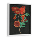 Estudio De La Granada I - Melissa Wang | Cuadro decorativo de Canvas Lab