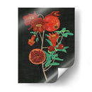 Estudio De La Granada I - Melissa Wang | Cuadro decorativo de Canvas Lab