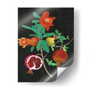 Estudio De Granada Ii - Melissa Wang | Cuadro decorativo de Canvas Lab