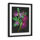 Callianducra Surinamensis I - Melissa Wang | Cuadro decorativo de Canvas Lab