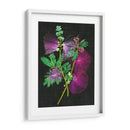 Callianducra Surinamensis I - Melissa Wang | Cuadro decorativo de Canvas Lab