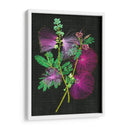 Callianducra Surinamensis I - Melissa Wang | Cuadro decorativo de Canvas Lab