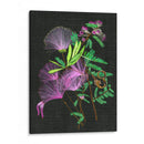 Calliandra Surinamensis Ii - Melissa Wang | Cuadro decorativo de Canvas Lab