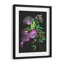 Calliandra Surinamensis Ii - Melissa Wang | Cuadro decorativo de Canvas Lab